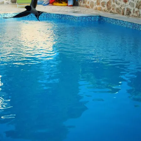 Apartman Katicin *